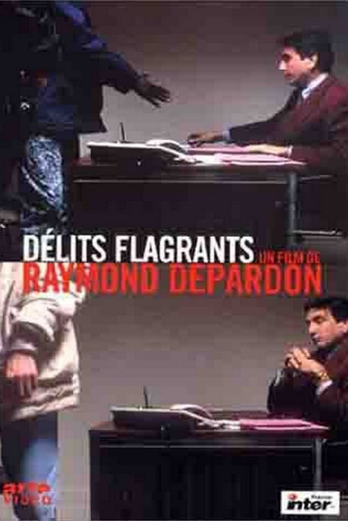 Affiche du film Délits flagrants 12656