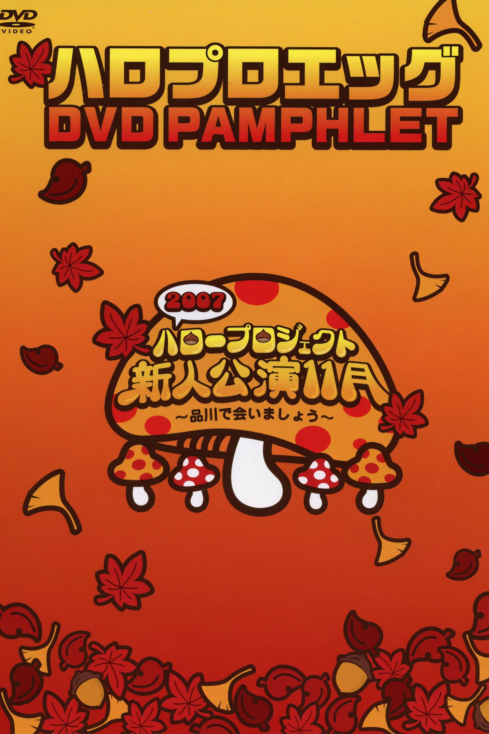 ハロプロ エッグ DVD Pamphlet ハロプロ エッグ DVD Pamphlet