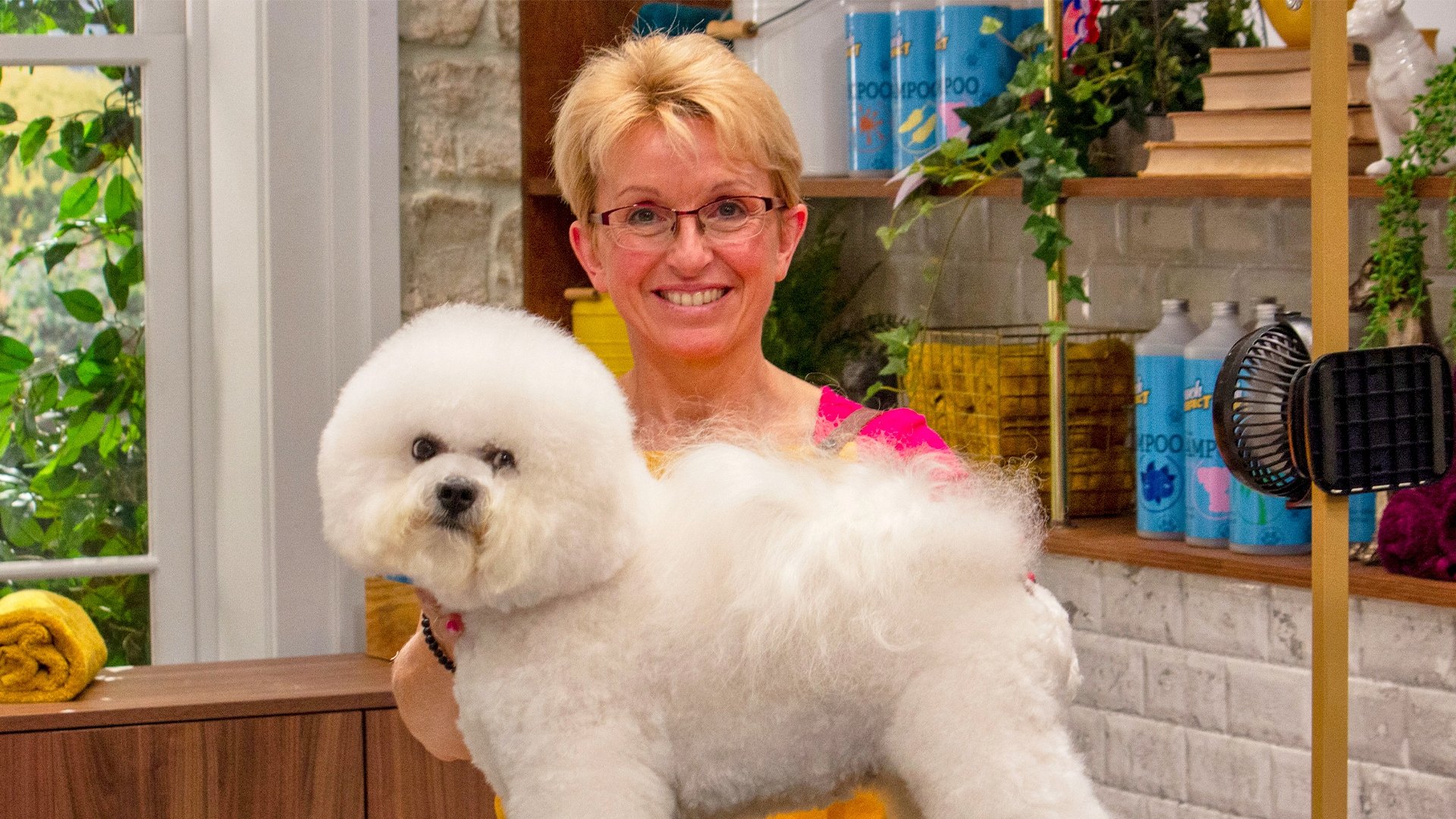Pooch Perfect