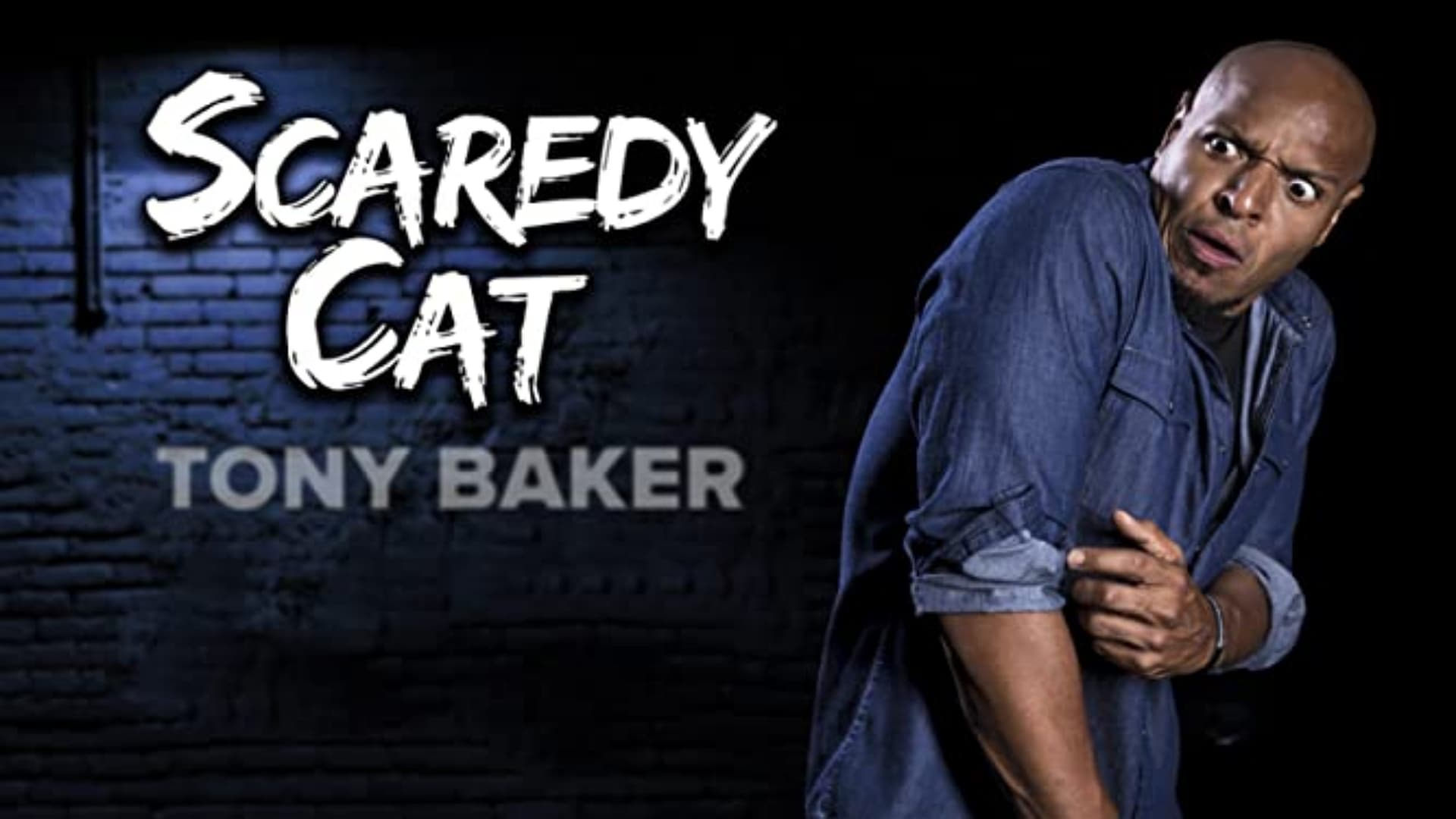 Tony Baker's Scaredy Cat