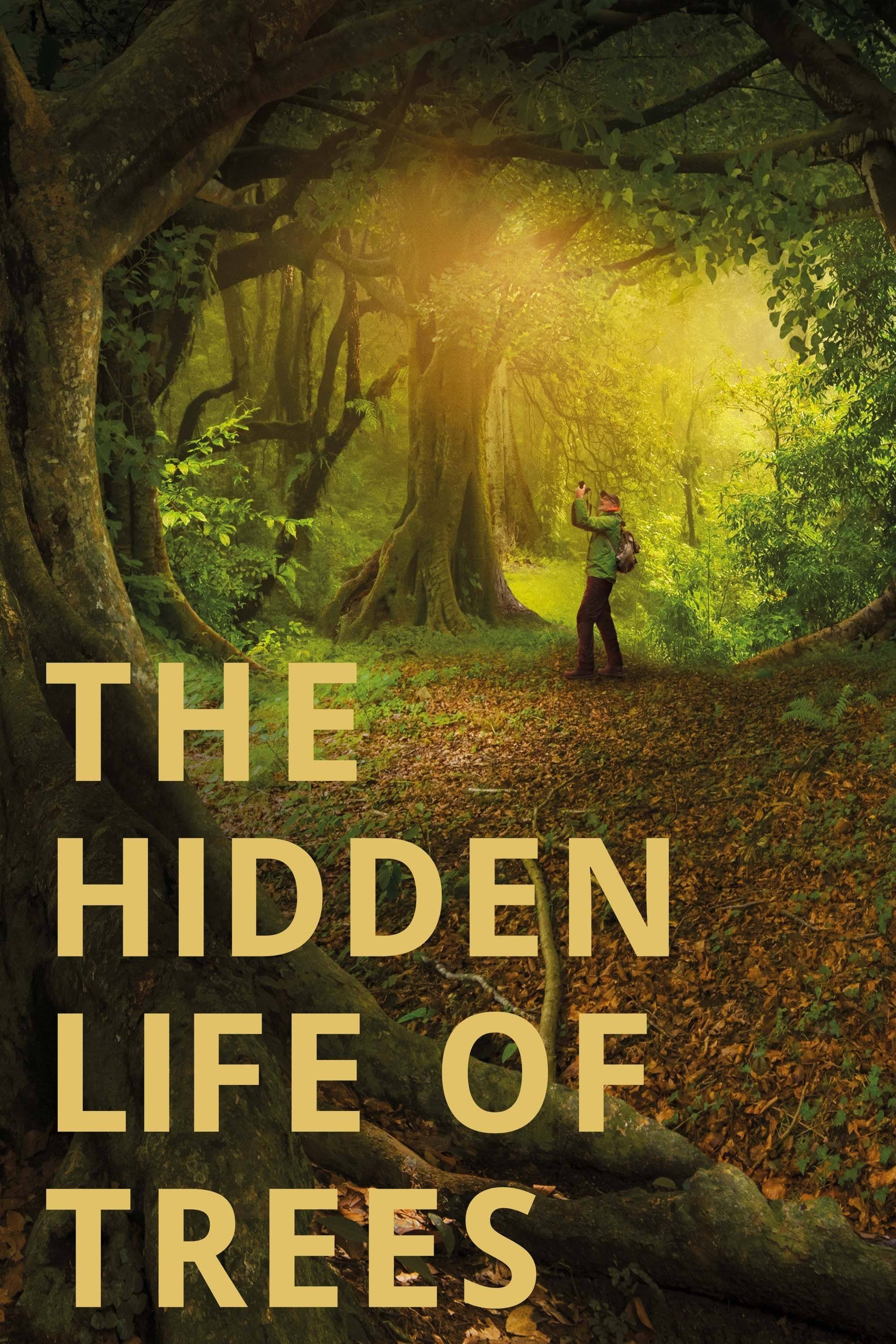 The Hidden Life of Trees