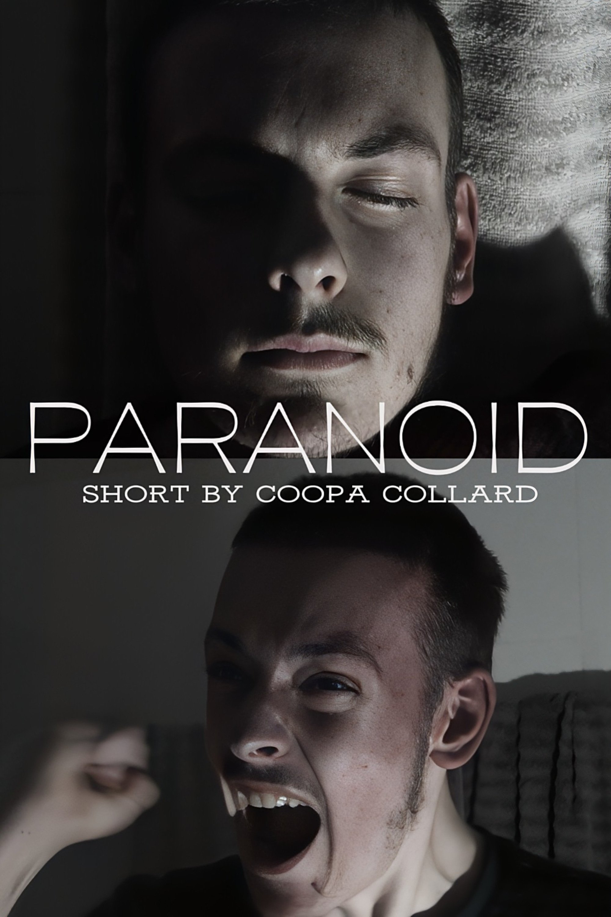Poster for PARANOID