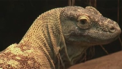 MonsterQuest - Épisode 19