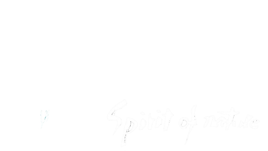 Miyazaki, Spirit of Nature Logo