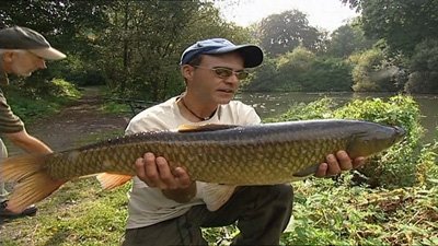 Thumbnail for Days 15-16 Crucian and Grass Carp Season 1 Episode 7