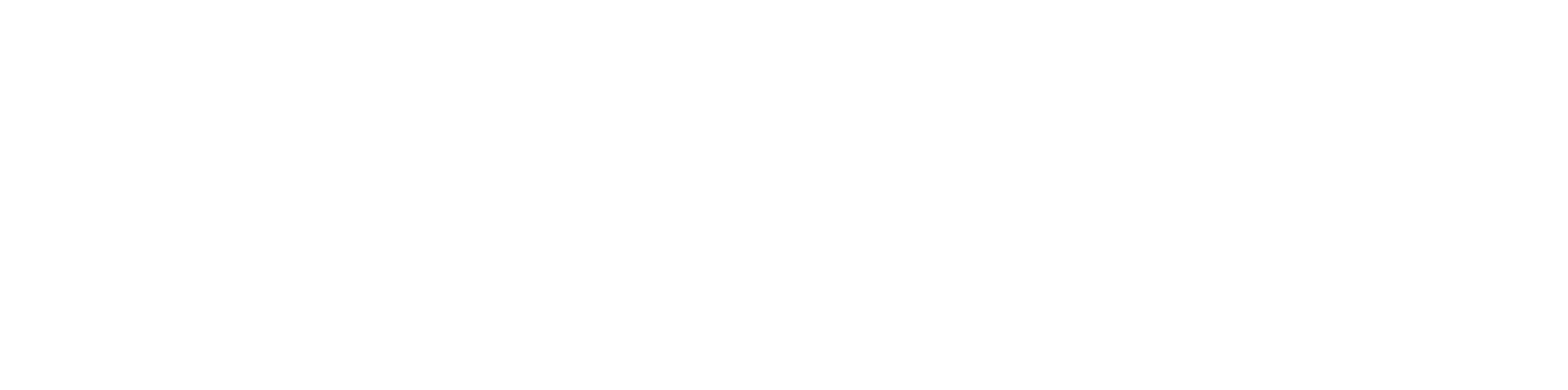 Mystery 101: Deadly History
