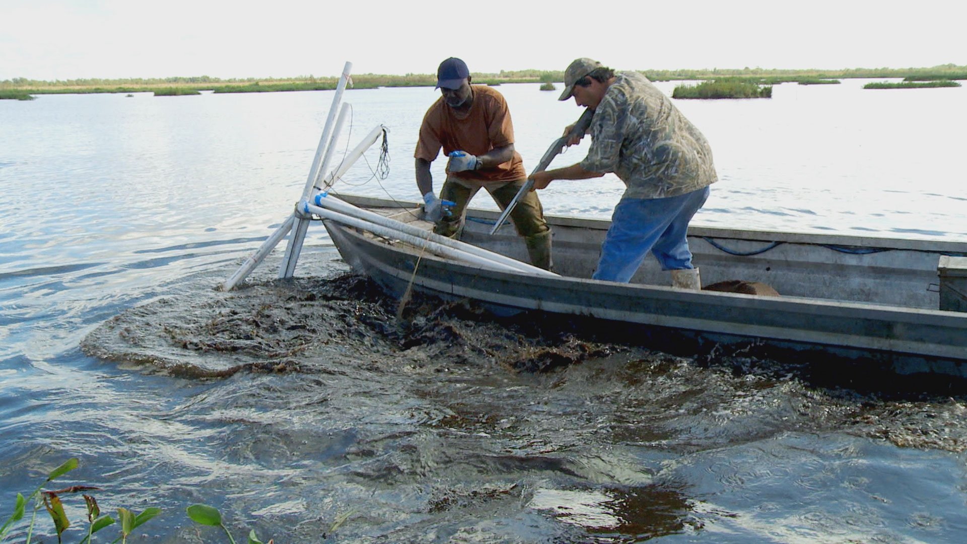 Swamp People