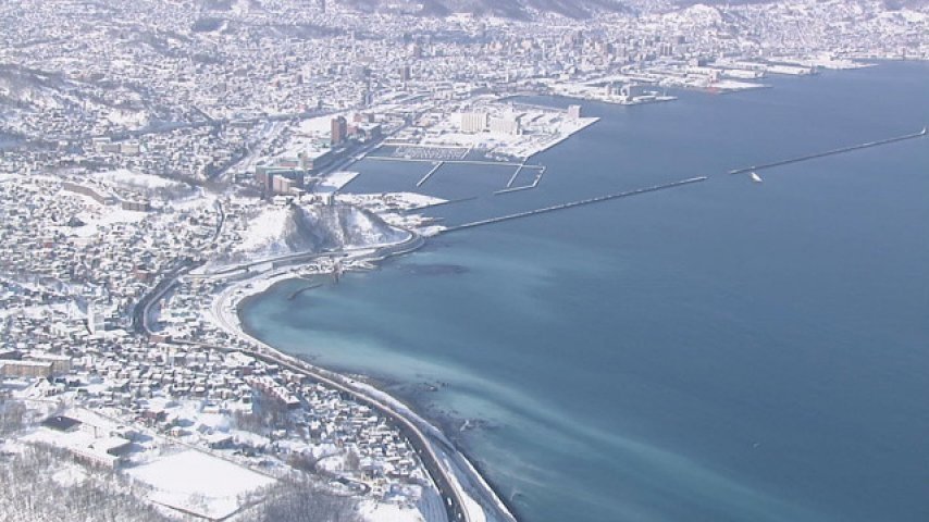 Wild Hokkaido!