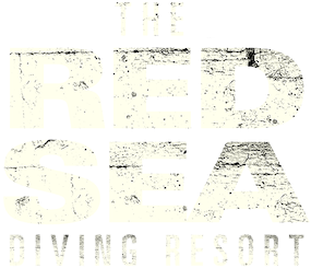 The Red Sea Diving Resort Logo