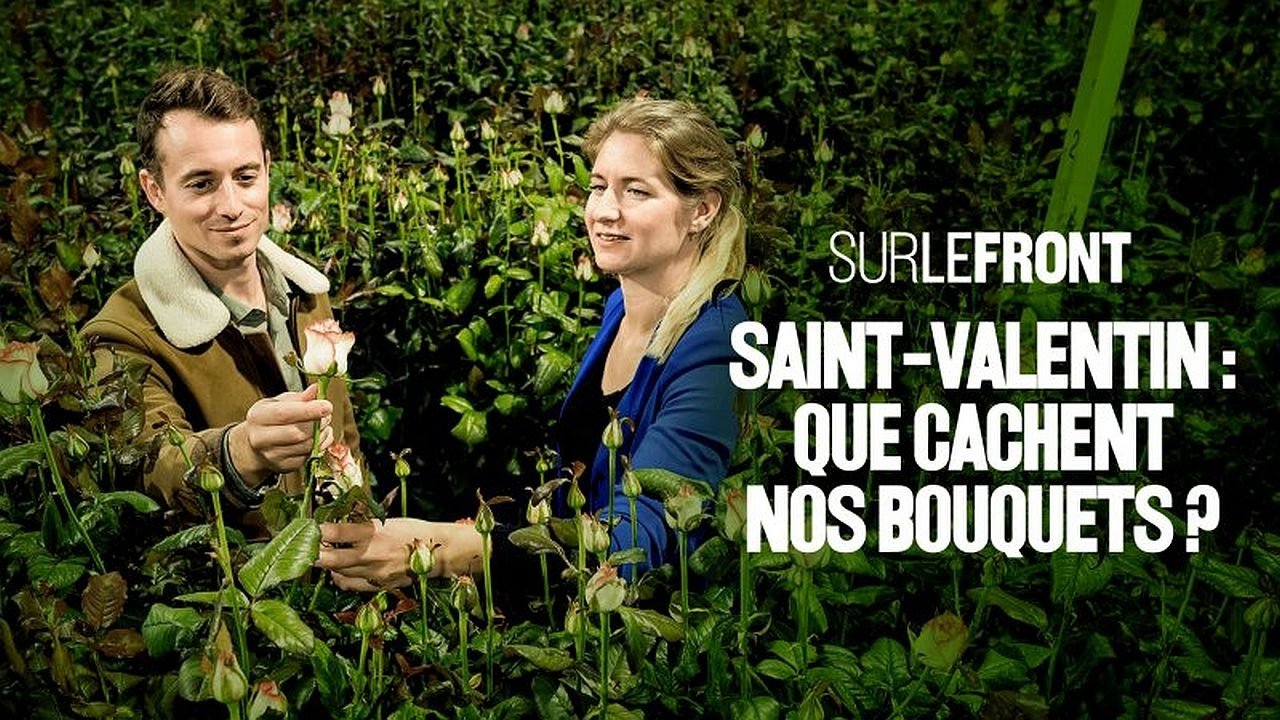 Sur le front - Saint-Valentin : que cachent nos bouquets ?