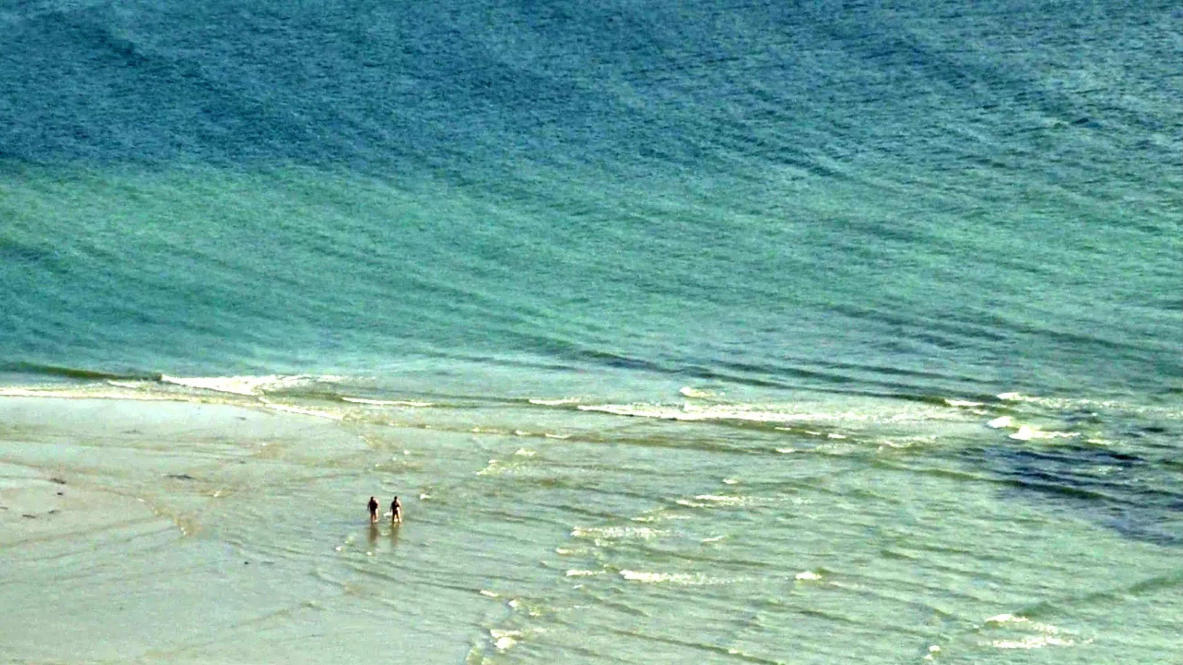 Coast of Death (2014)