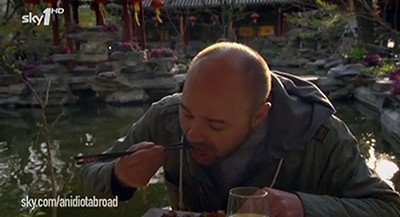An Idiot Abroad