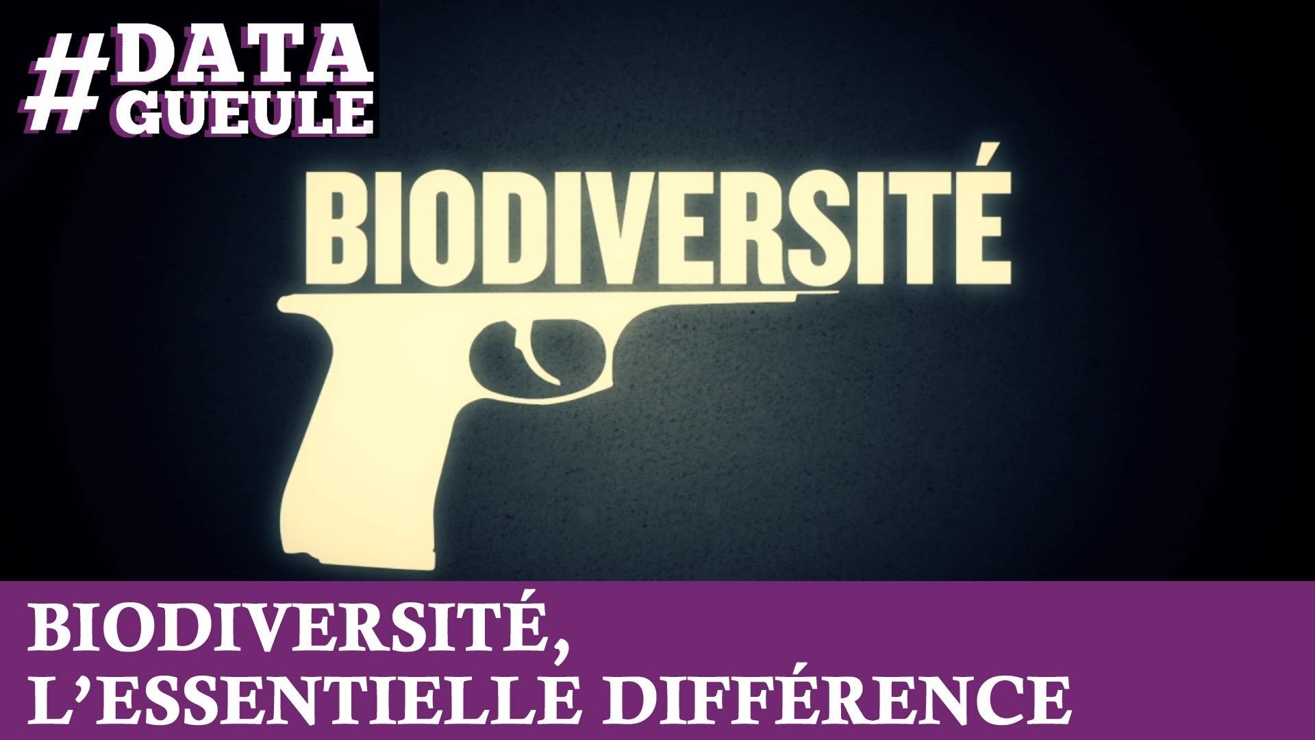 Data Gueule - Biodiversité, l'essentielle différence