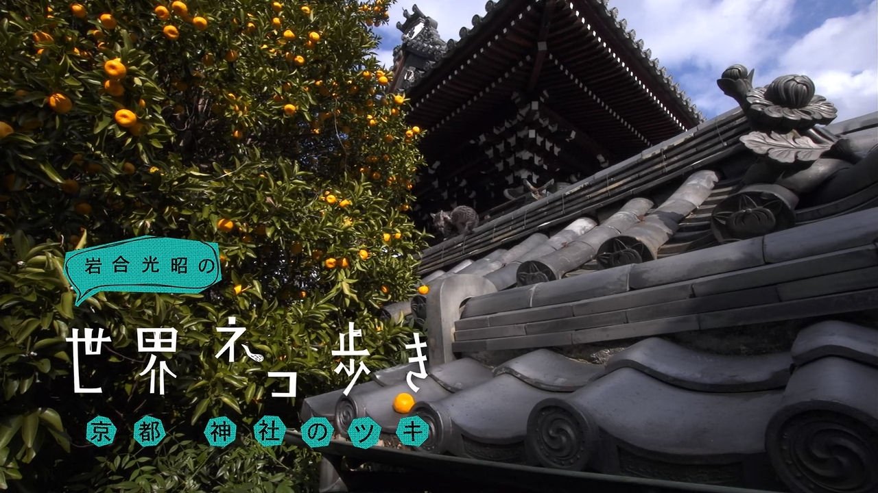 Thumbnail for Kyoto Lucky Shrine Season 0 Episode 9