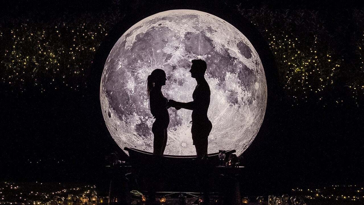 The Bachelor - Épisode 12