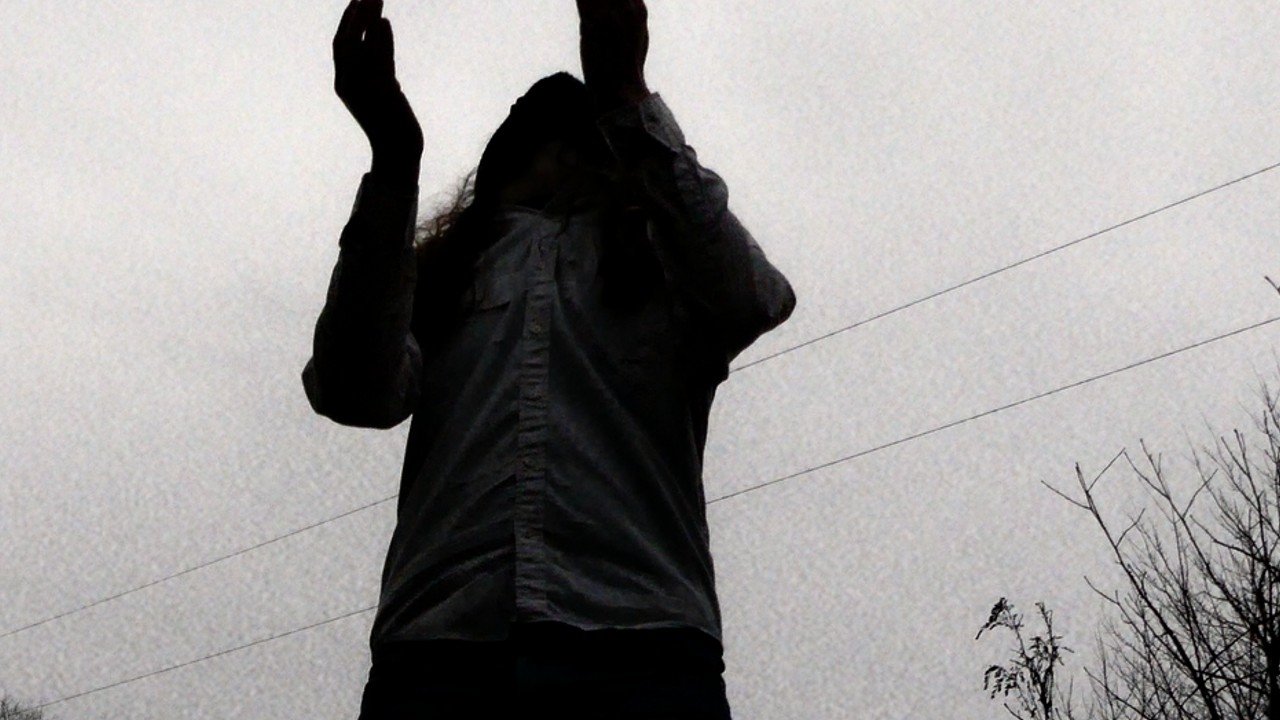Arbor (2024)