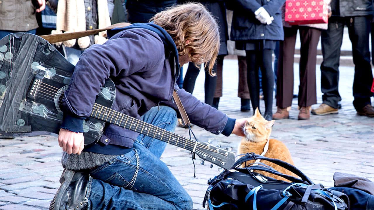 Un gato callejero llamado Bob