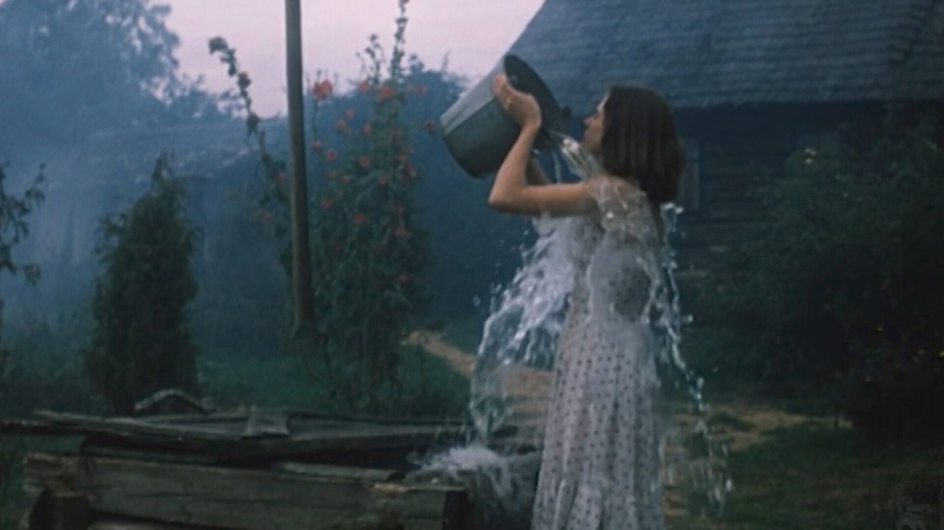 The Garden of Desires