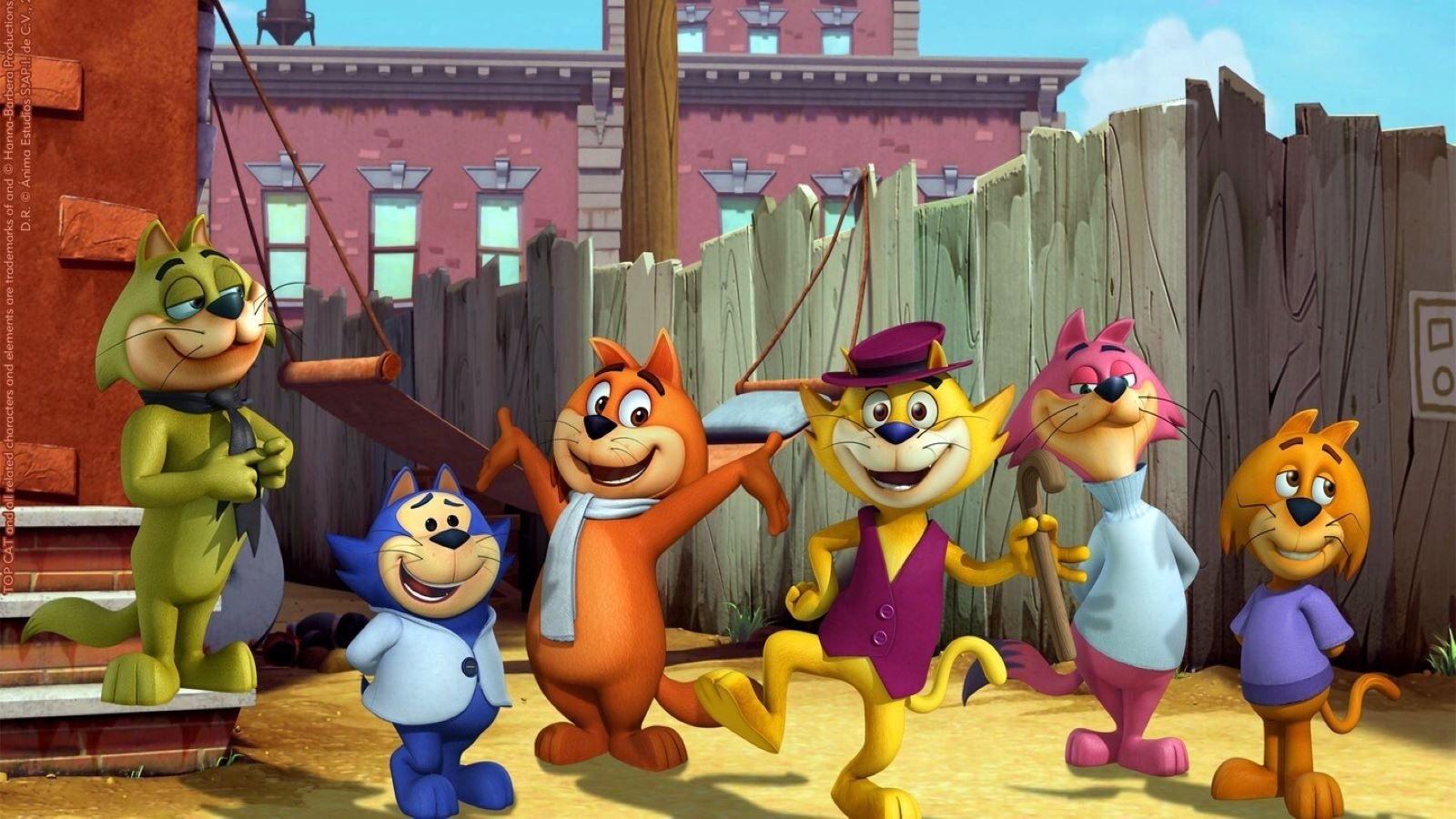 Top Cat Begins