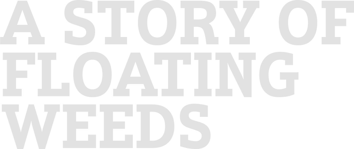 A Story of Floating Weeds