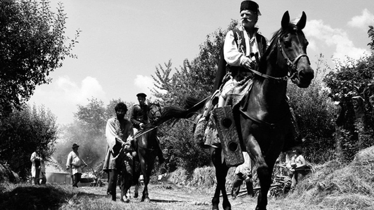 Aferim! (2015)