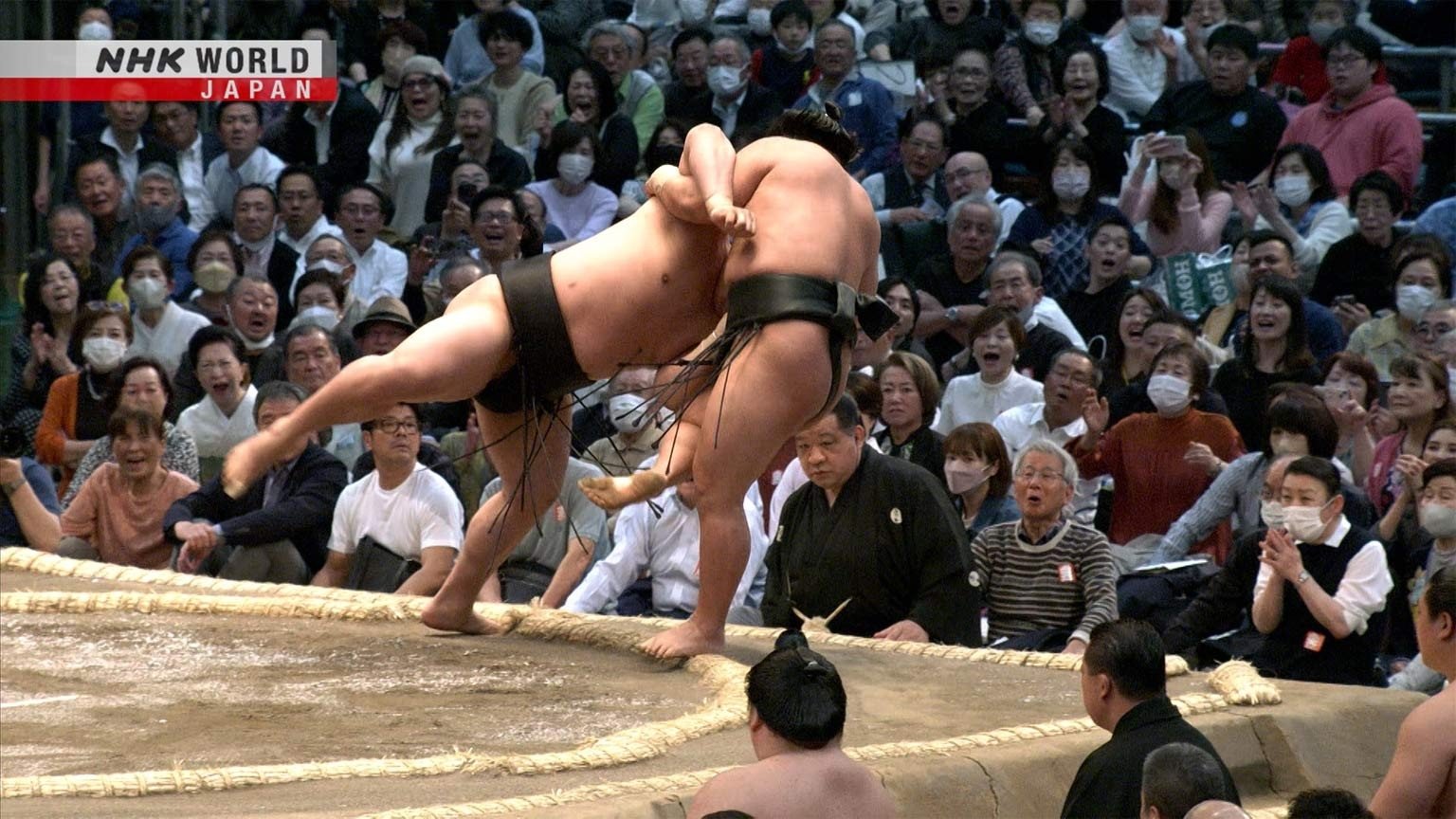 GRAND SUMO Highlights Staffel 16 :Folge 11 