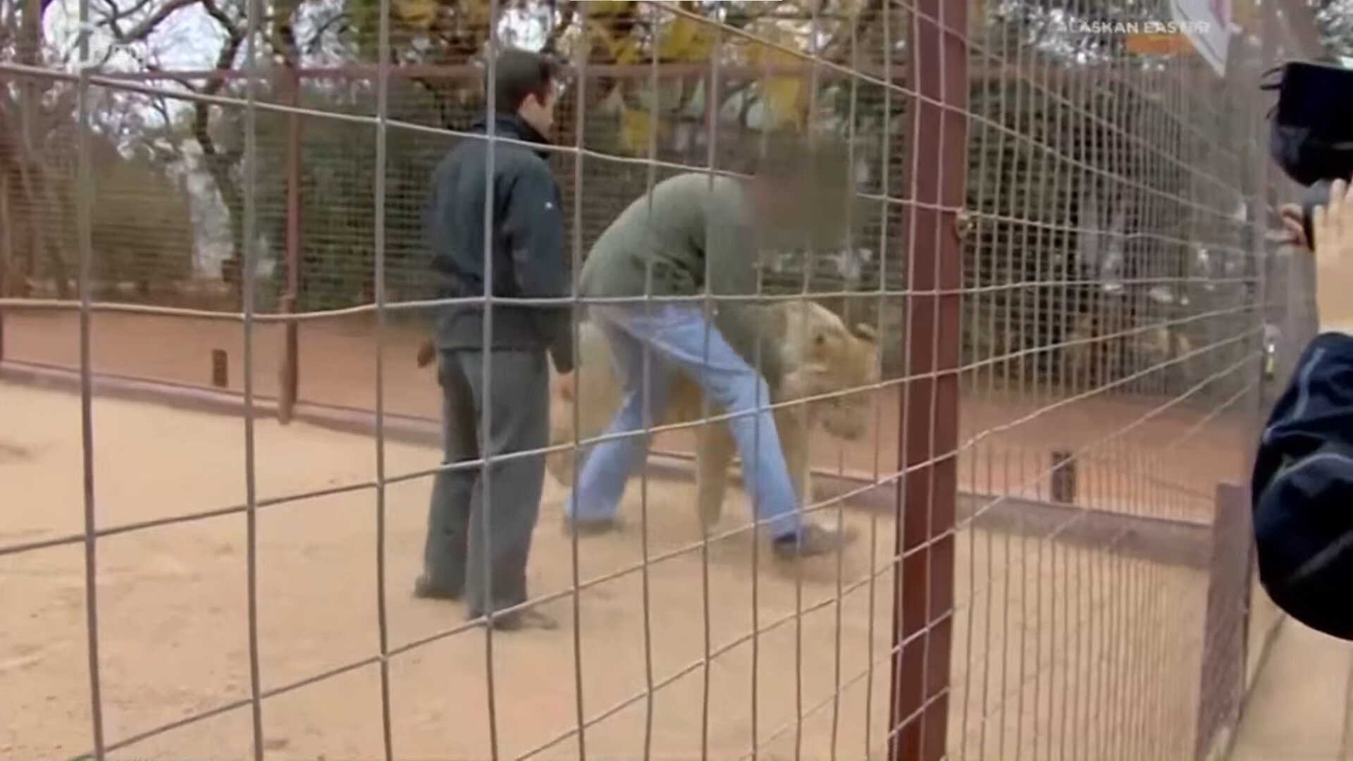 Thumbnail for Animals Season 1 Episode 5