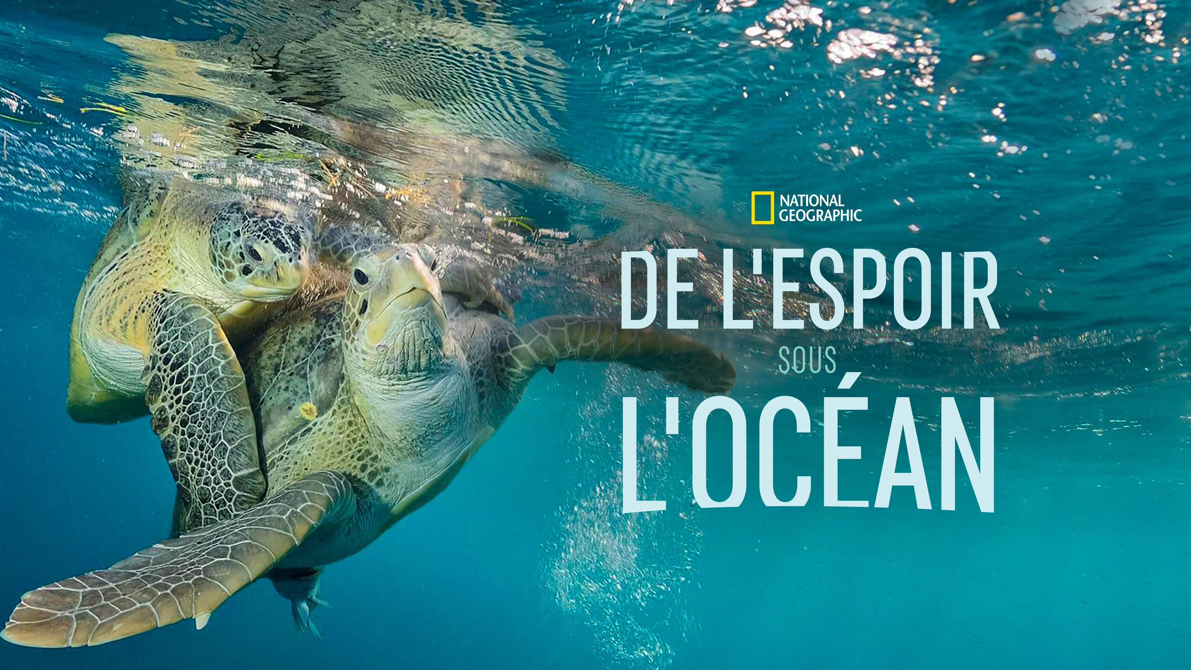 Sea of Hope: America's Underwater Treasures