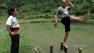 Fight Quest