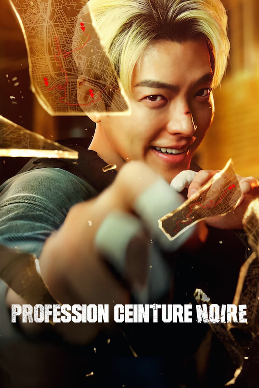 Poster de Profession ceinture noire