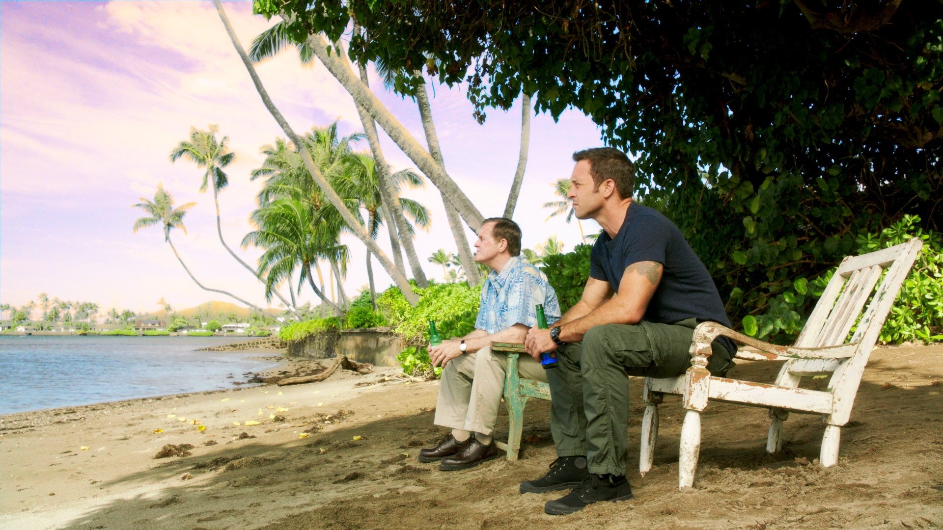 Hawaii Five-0 Season 5 :Episode 7  Inā Paha (If Perhaps)