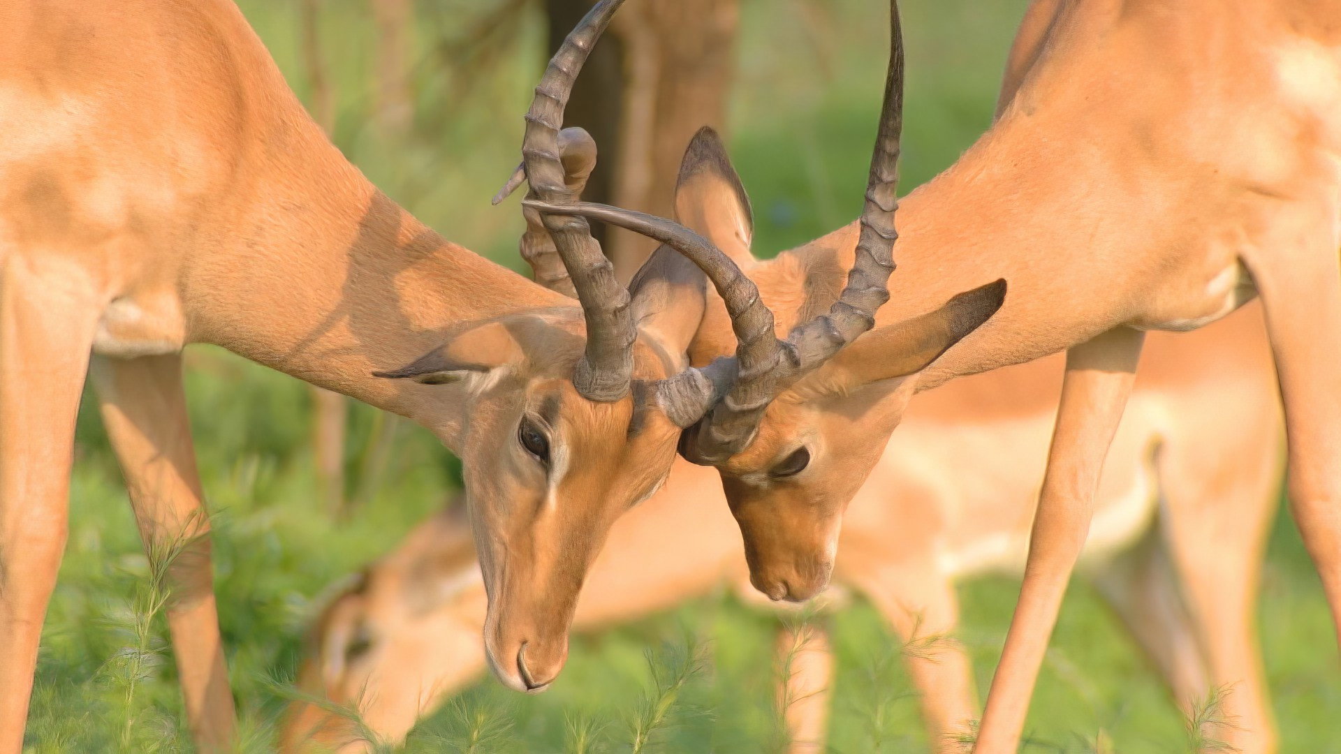 Earth Odyssey with Dylan Dreyer S05E07 backdrop