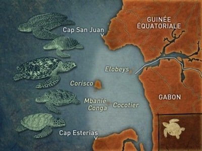 Mapping the World