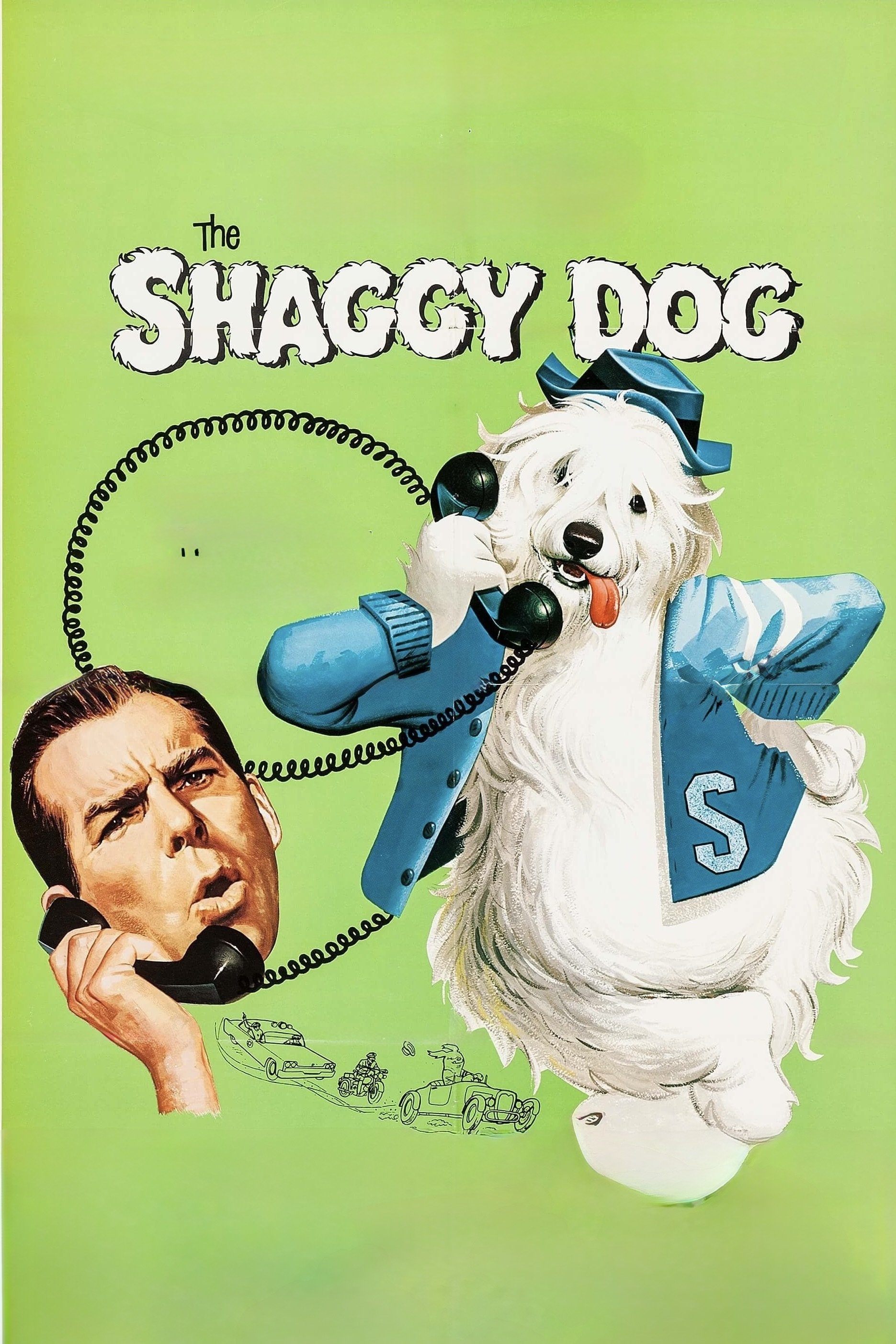 The Shaggy Dog