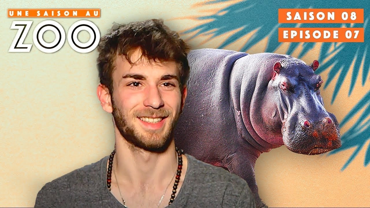 Une saison au zoo