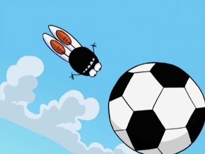 Fly Tales