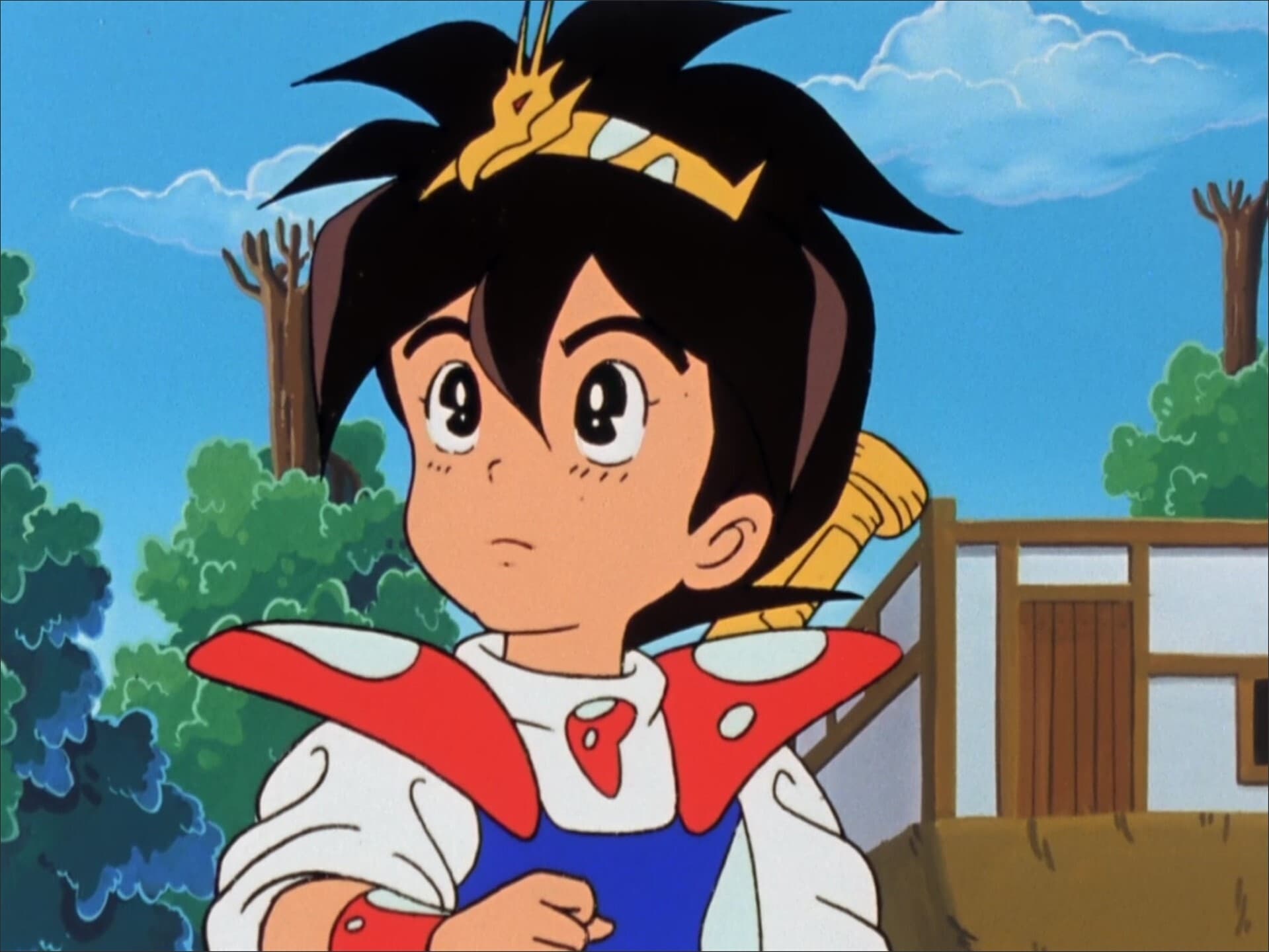 Mashin Hero Wataru