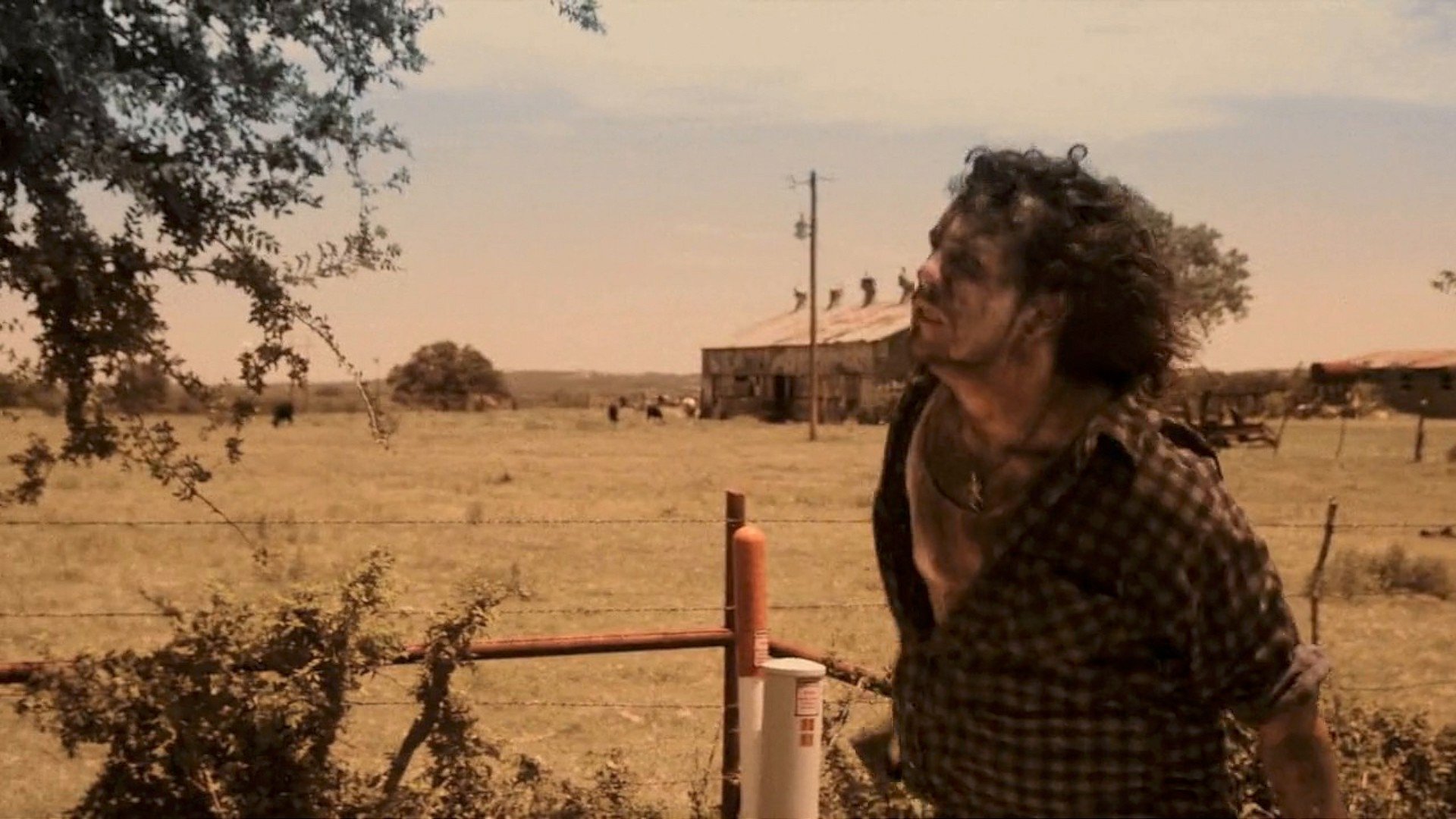 An Acrid Yarn (2010)