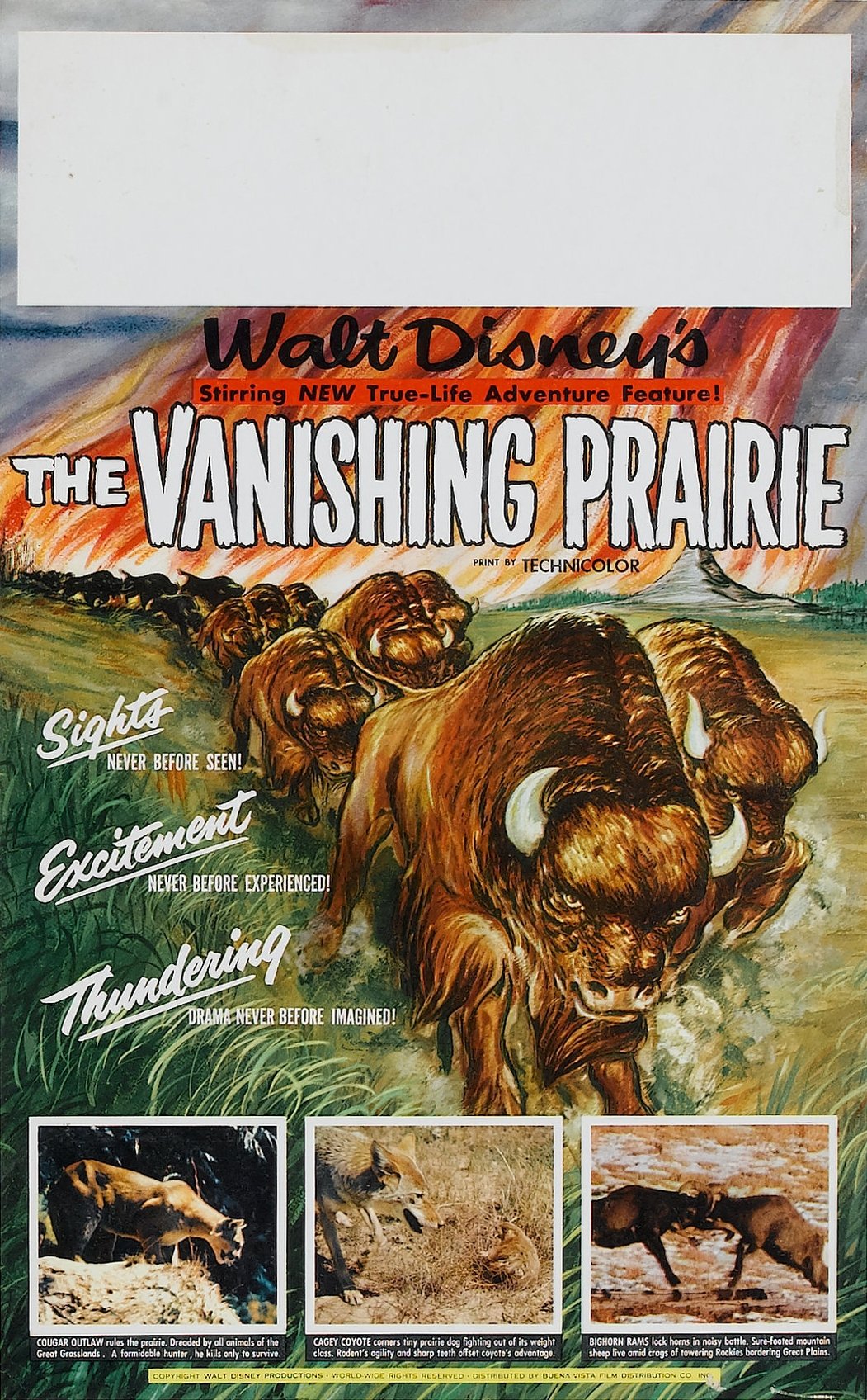 The Vanishing Prairie