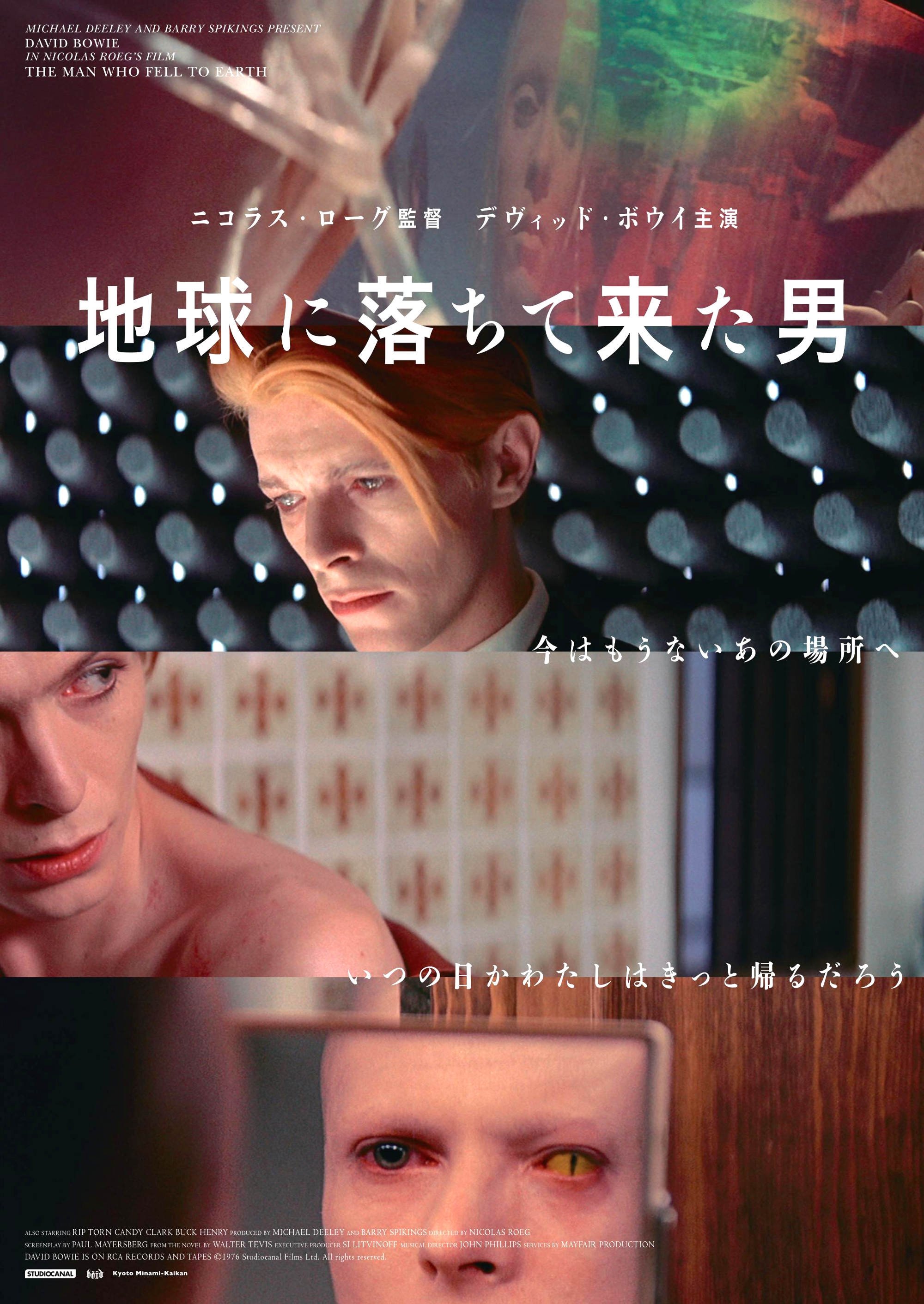 The Man Who Fell to Earth