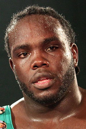 et billede af Bermane Stiverne