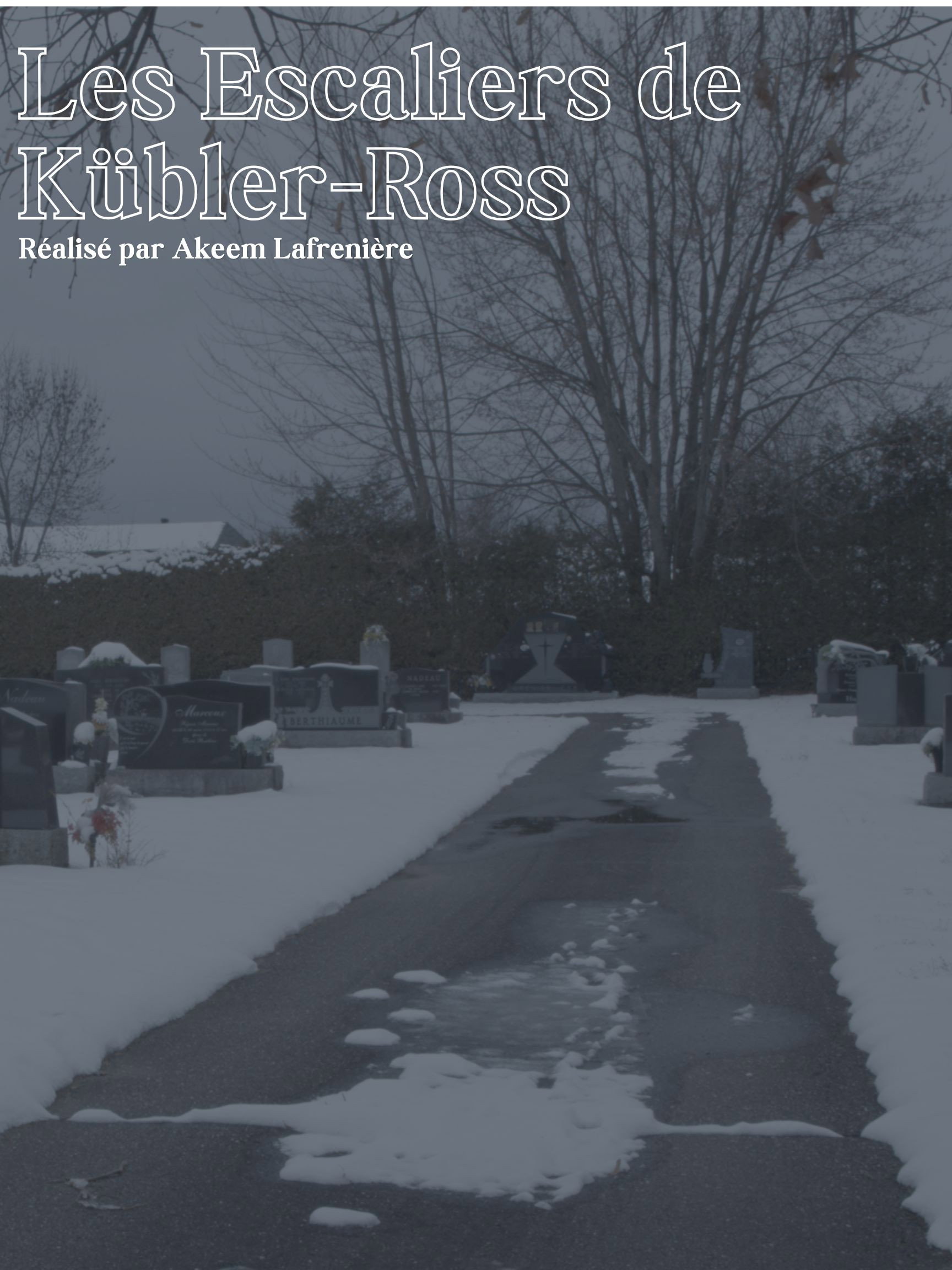Les Escaliers de Kübler-Ross