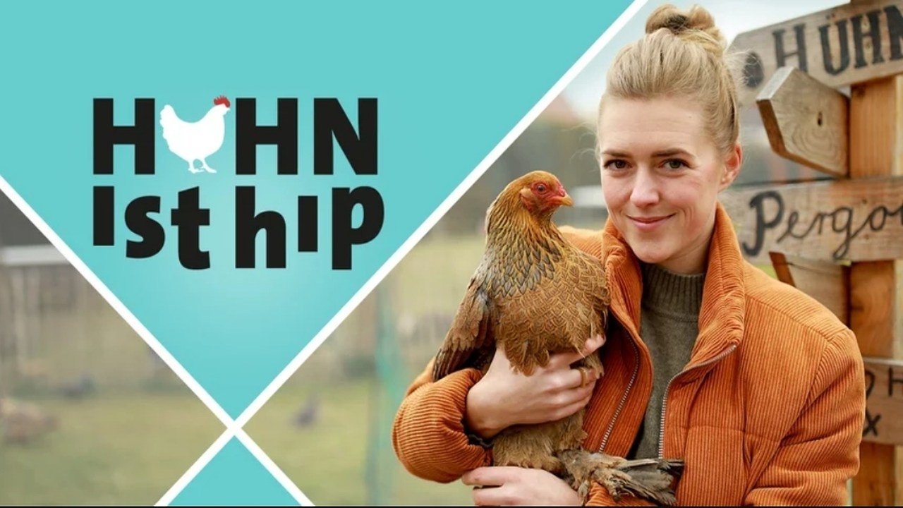 Huhn ist hip poster