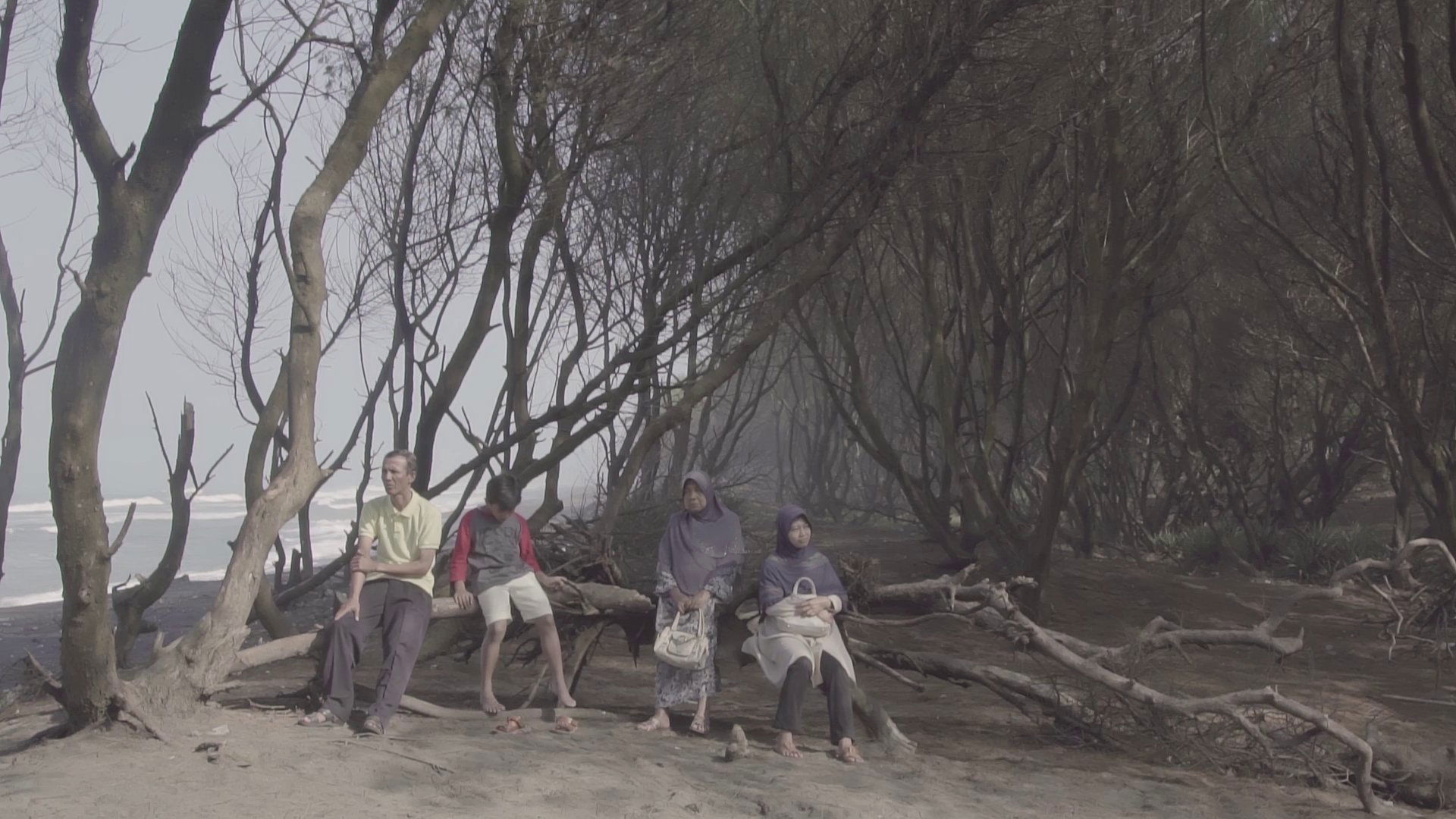 Regards from the Southern Crab (2017)