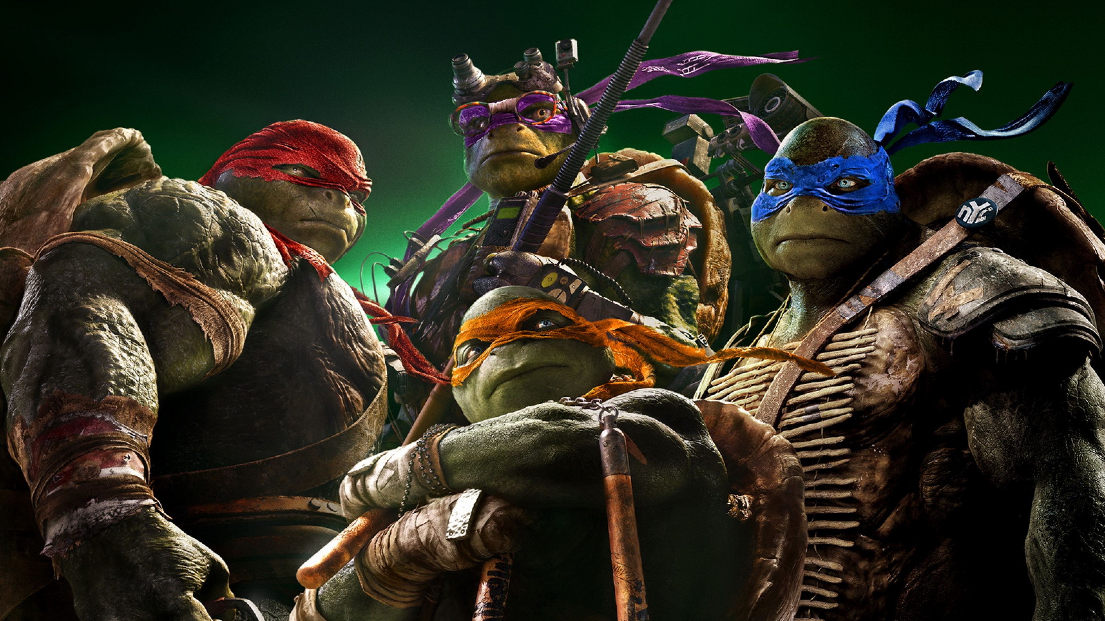 Ninja Turtles (2014)