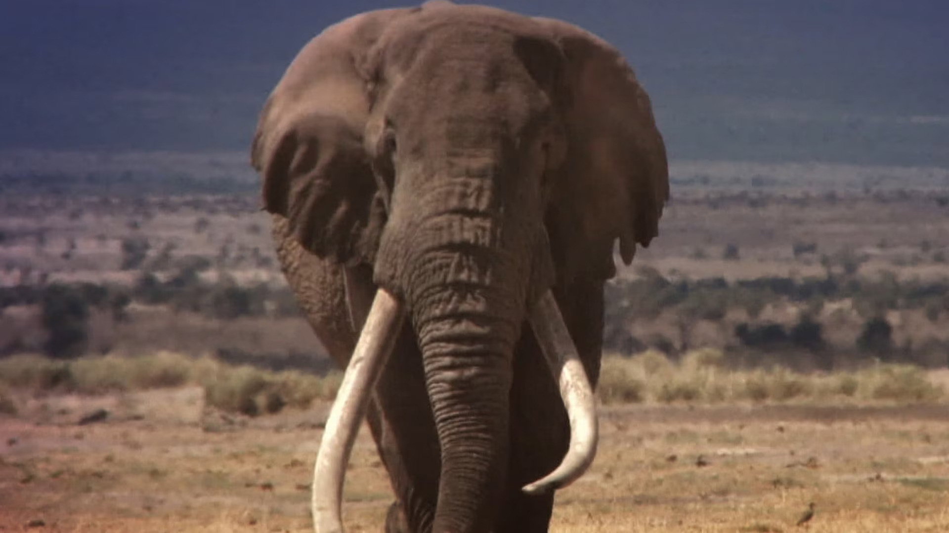 Earth Odyssey with Dylan Dreyer S06E20 backdrop