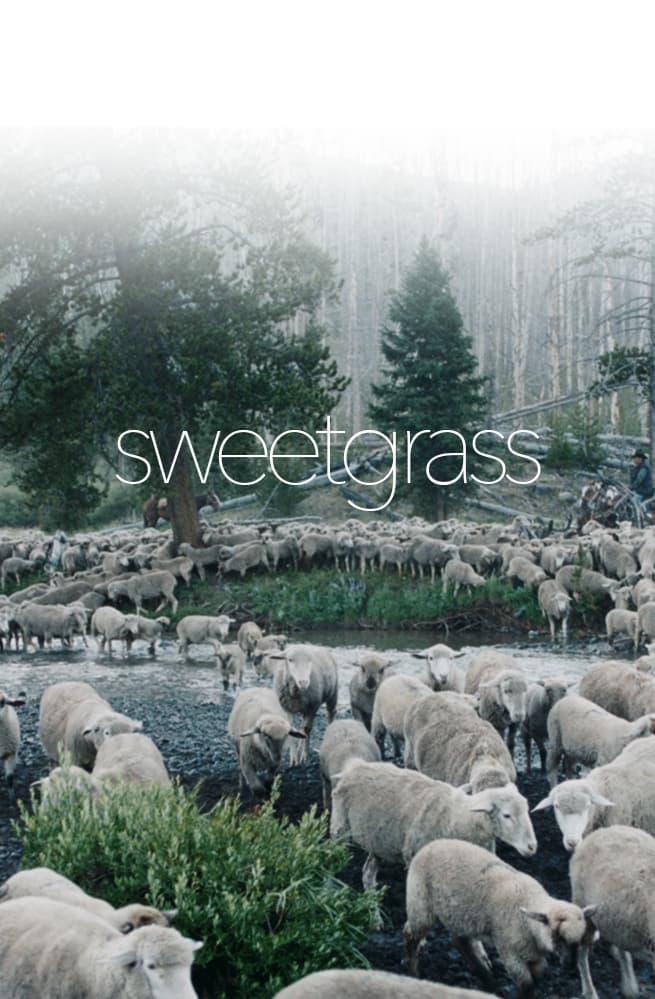 Affiche du film Sweetgrass 135222