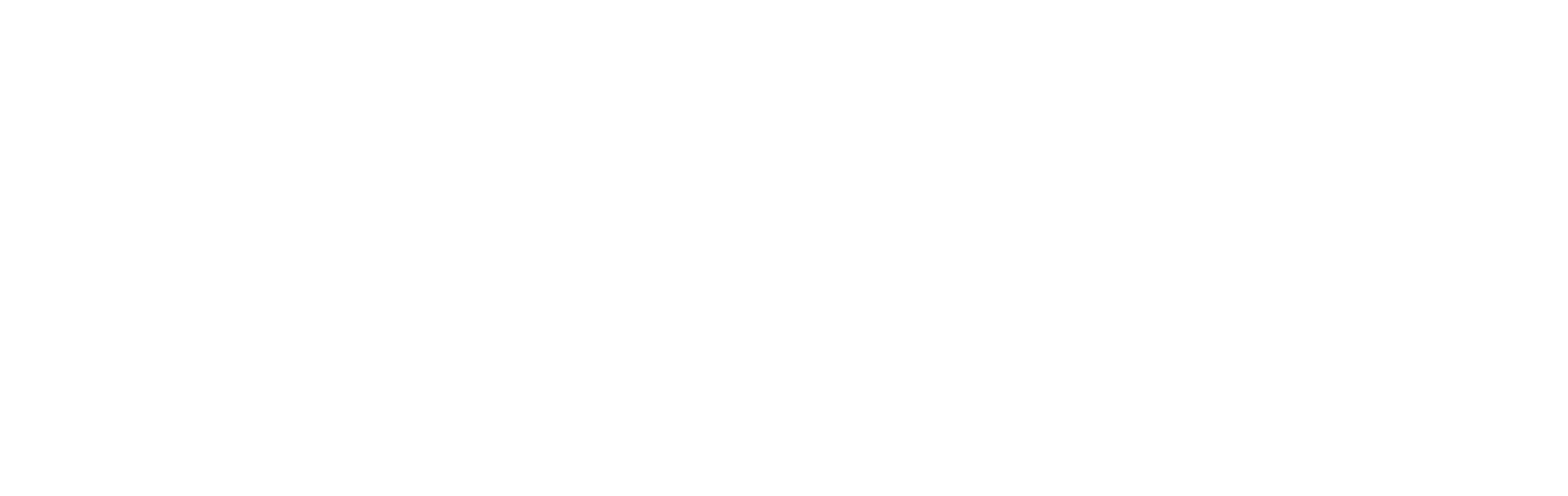 The Catch Logo