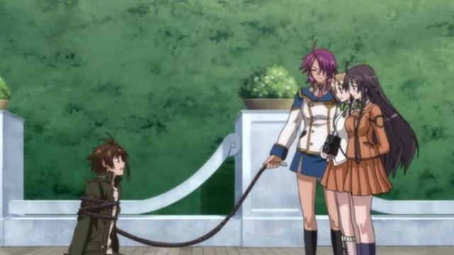 Chrome Shelled Regios