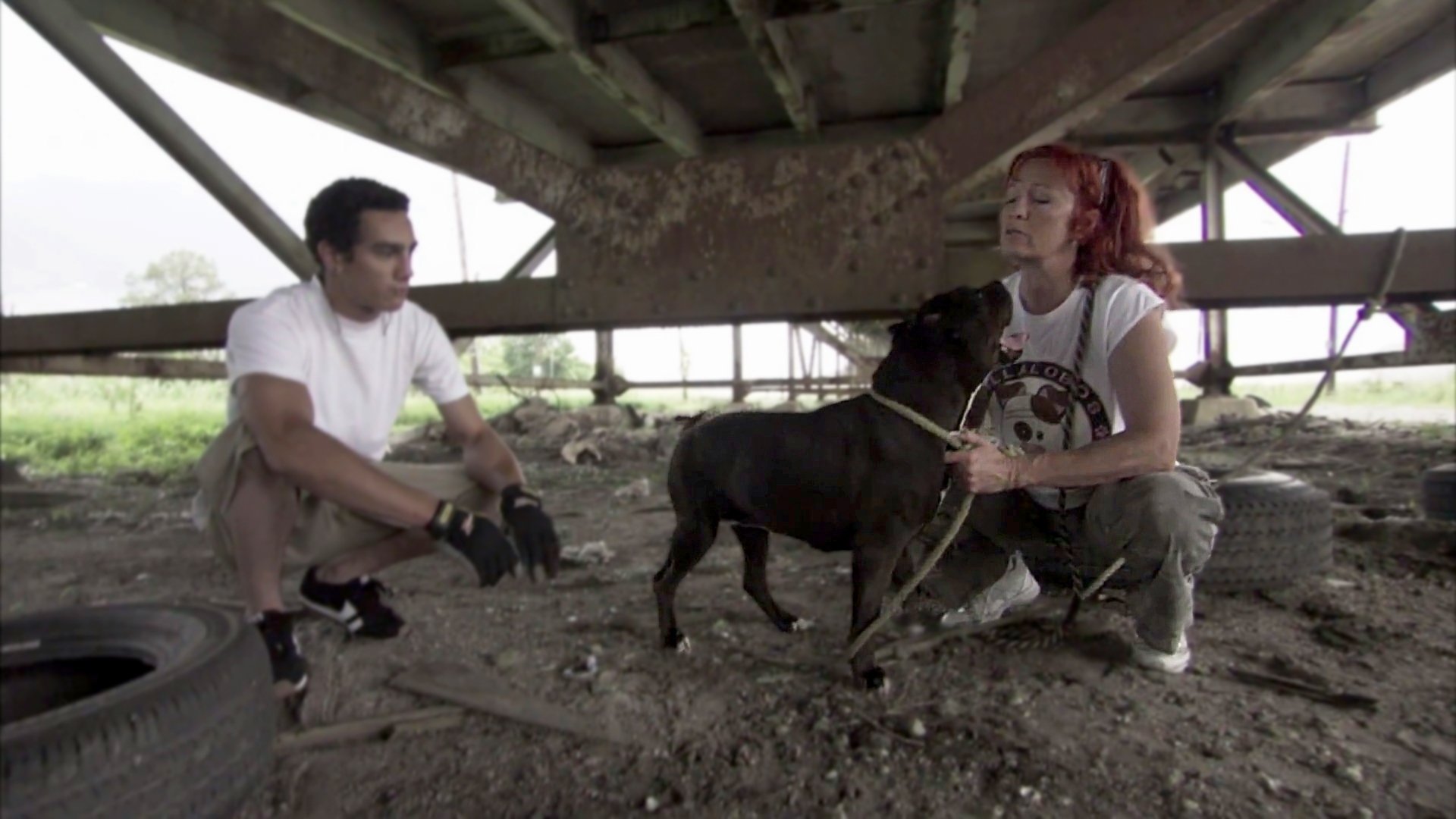 Pitbulls et prisonniers - Épisode 8